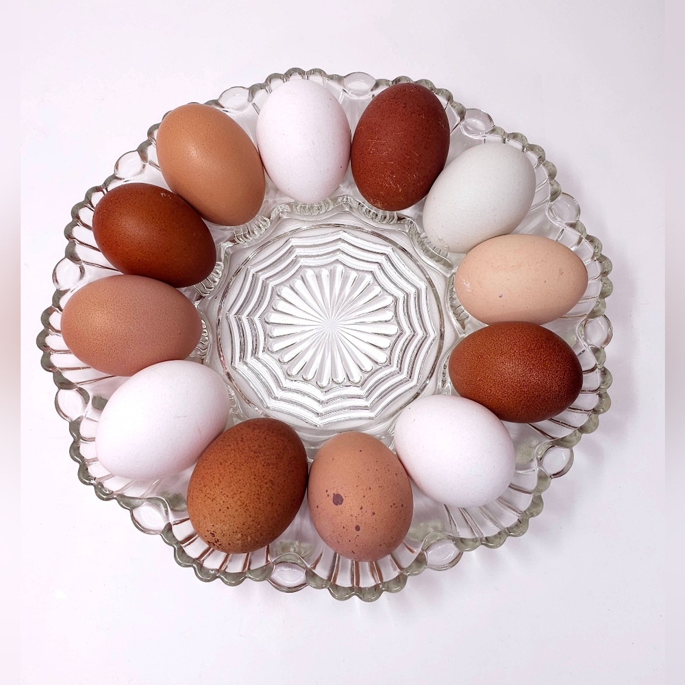 Vintage Anchor Hocking Fire King Deviled Egg Dish